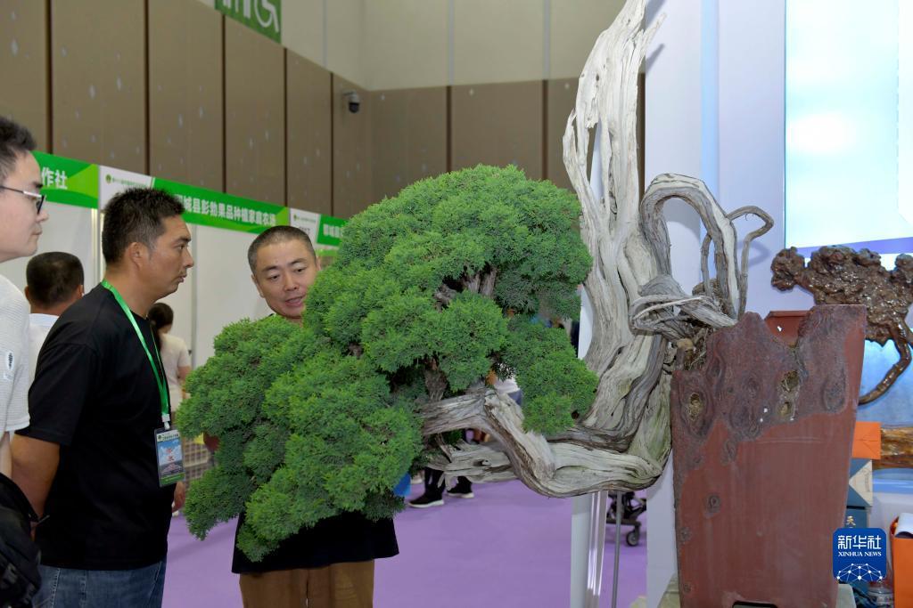 捕鱼来了游戏电脑版